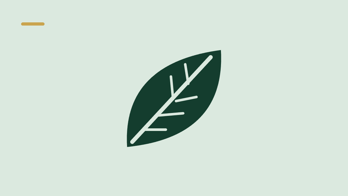 Illustration af et blad